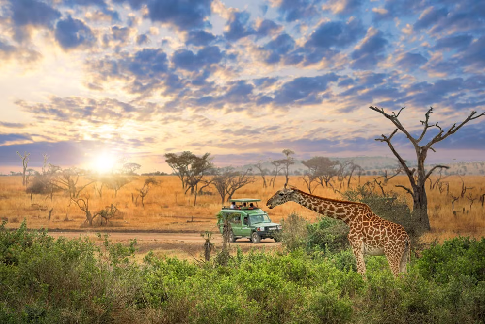 Essential Tanzania