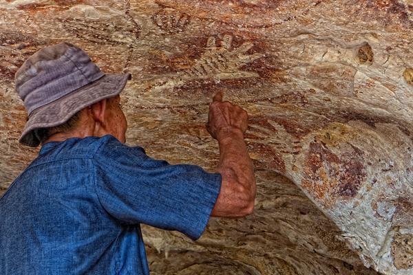 Top 5 nature activities in Borneo