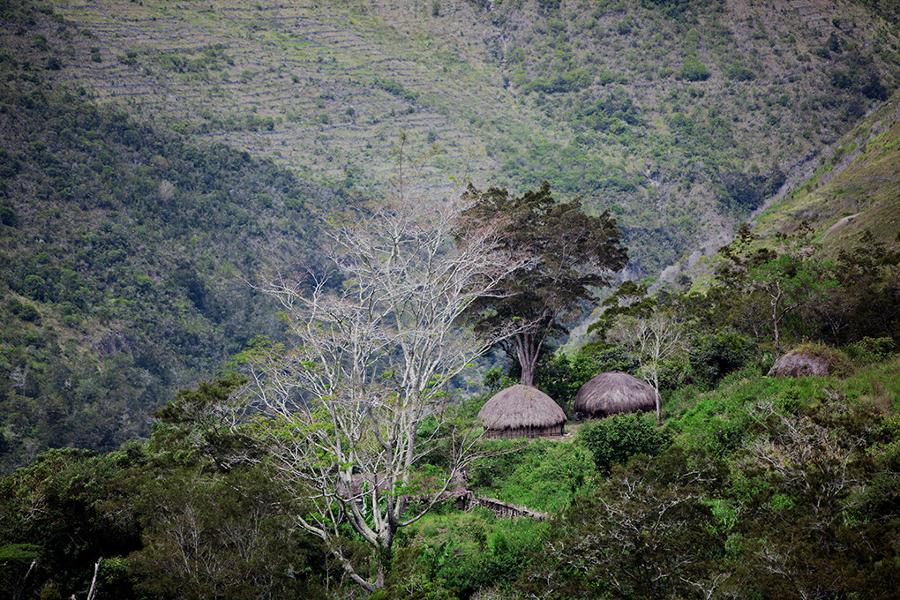 Indonesian Papua: back to the Stone Age