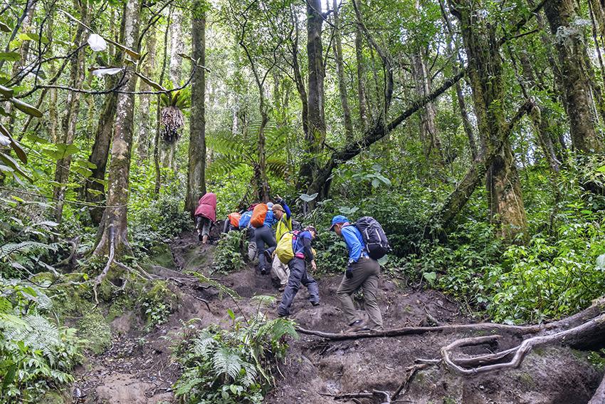 Which island to choose for a trek in Indonesia?