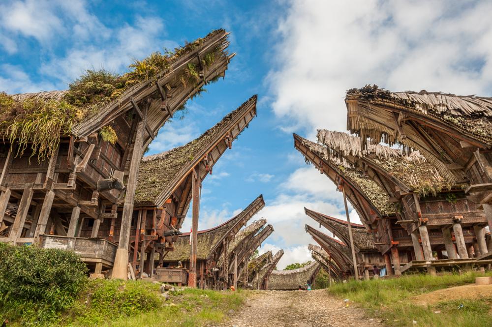 Who are the Toraja?