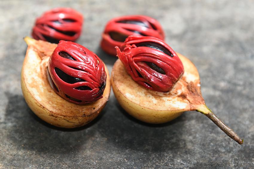 Indonesian spices