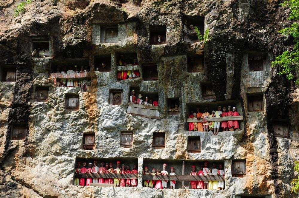 Who are the Toraja?